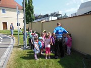 Dobrovice - Městská policie